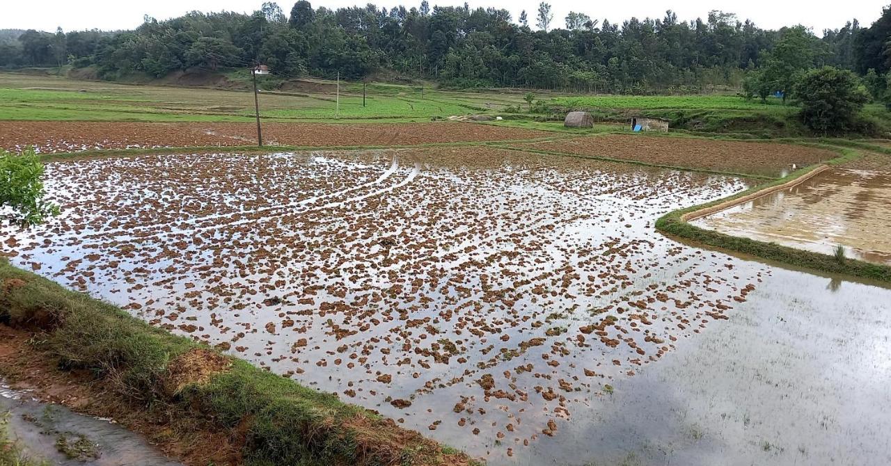 Coorg Coffee Park Farmstay Somvarpet Luaran gambar