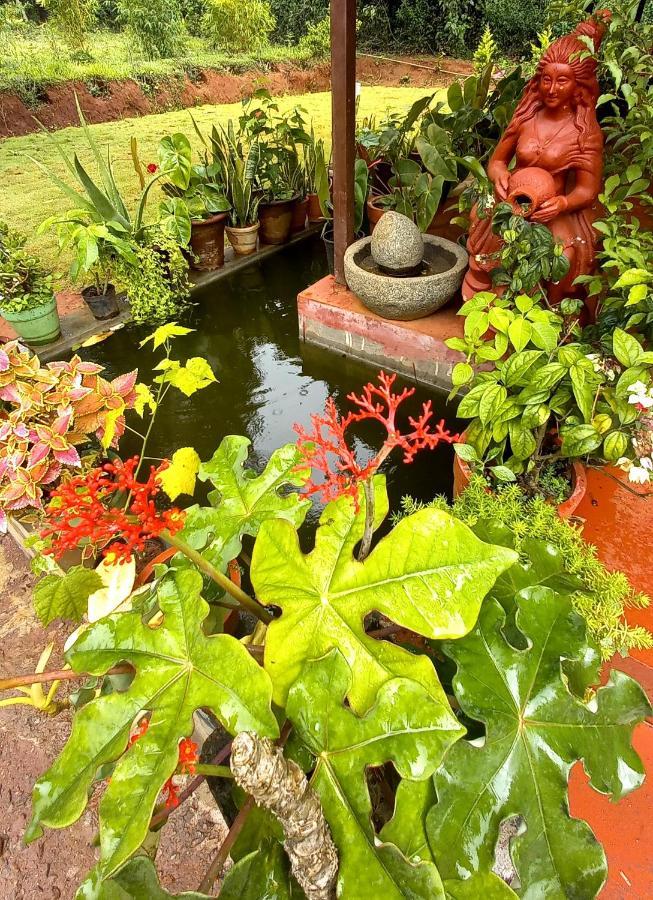 Coorg Coffee Park Farmstay Somvarpet Luaran gambar
