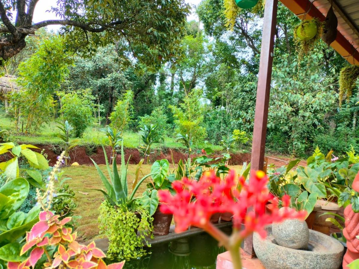 Coorg Coffee Park Farmstay Somvarpet Luaran gambar