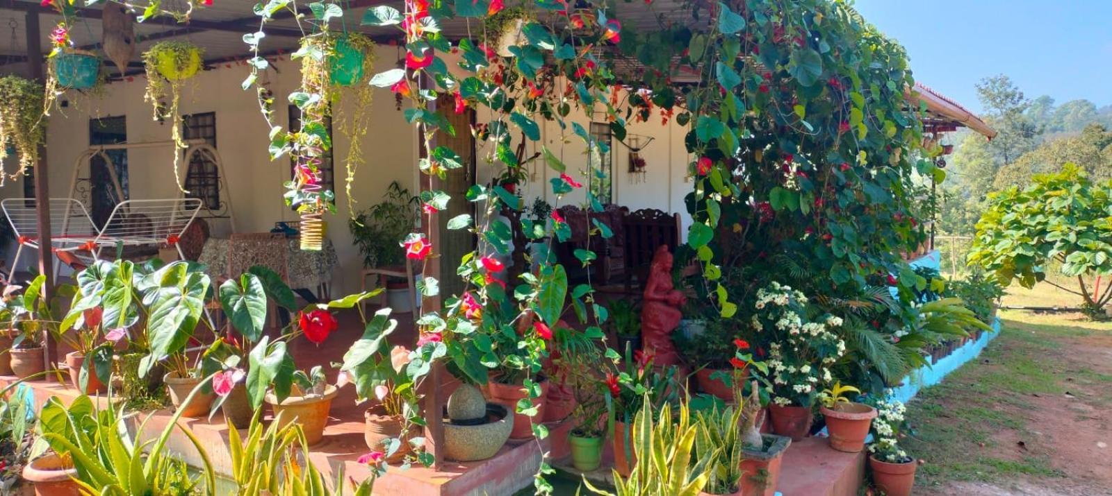 Coorg Coffee Park Farmstay Somvarpet Luaran gambar